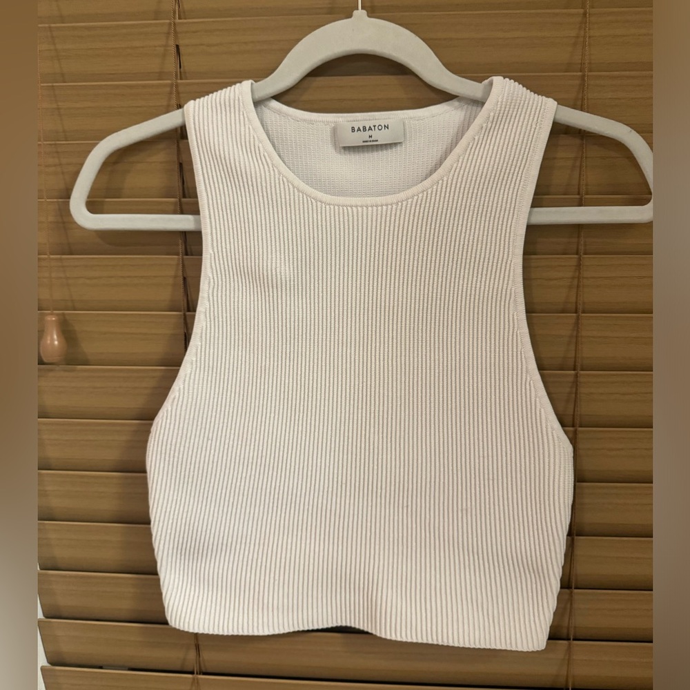 Aritzia Babaton Top